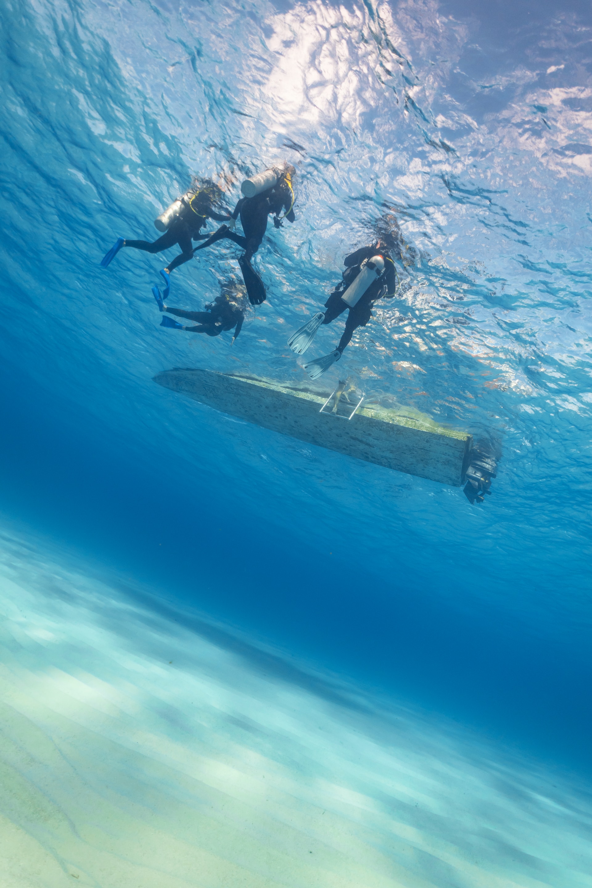 Divers under boat