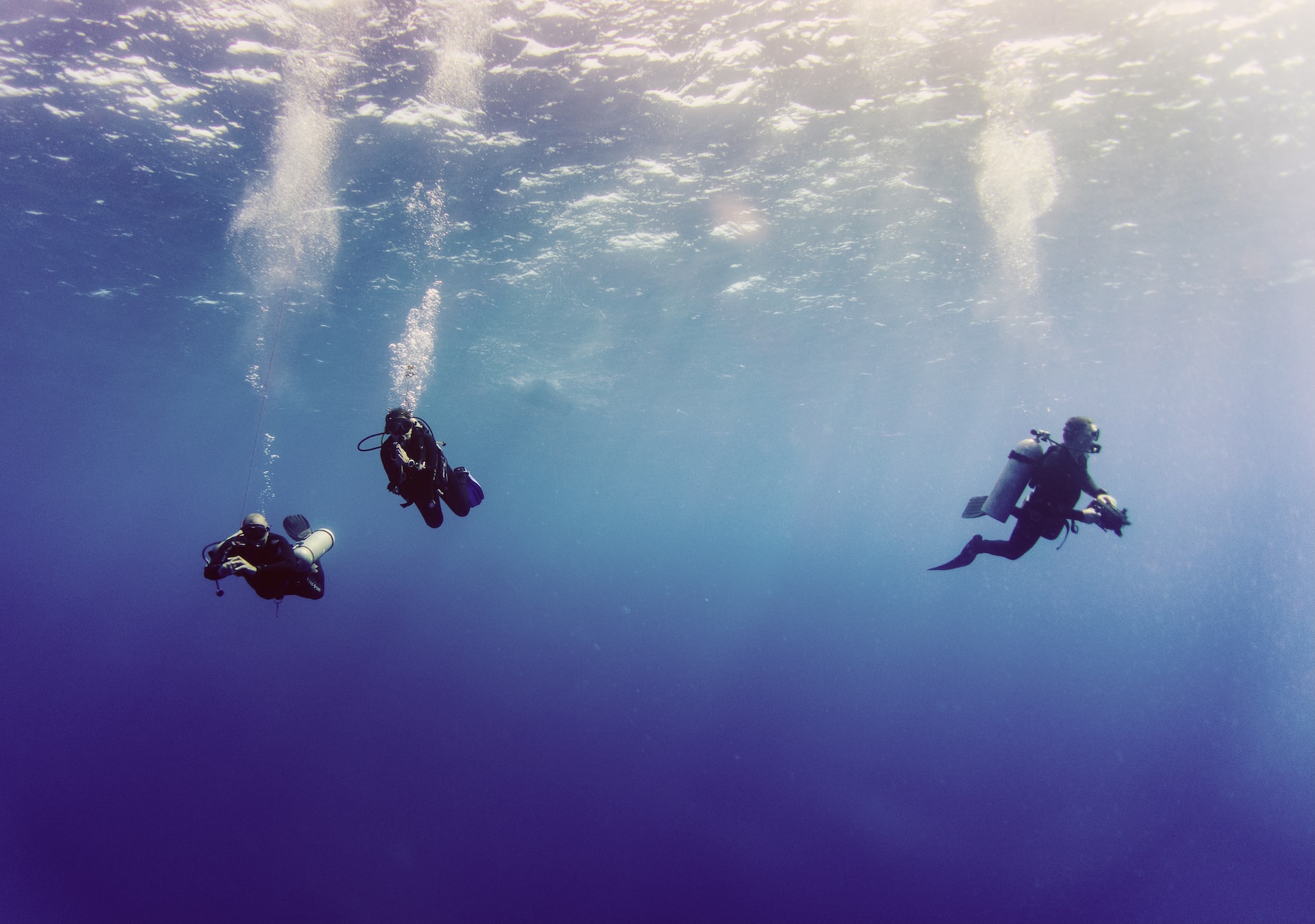 3 divers in blue water