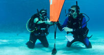 Search & Recovery Divers with Surface Buoy